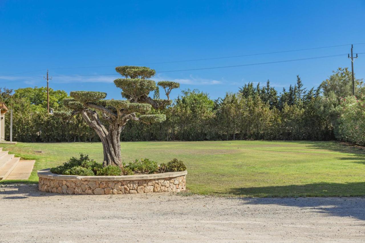 Villa Can Magnus Alcúdia Buitenkant foto